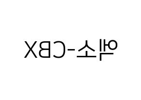 KPOP EXO-CBX(엑소-CBX、エクソ-CBX) ハングルボード型紙、うちわ型紙　作る方法、作り方 左右反転