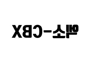 無料 KPOP EXO-CBX(엑소-CBX、エクソ-CBX) ハングルボード型紙、ハングルうちわ型紙 左右反転