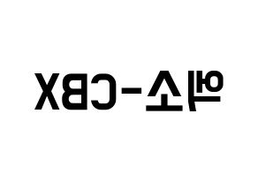 KPOP EXO-CBX(엑소-CBX、エクソ-CBX) 応援ボード 作り方 左右反転