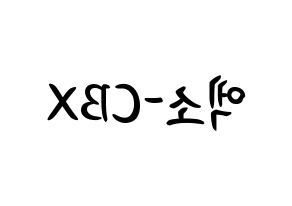 KPOP EXO-CBX(엑소-CBX、エクソ-CBX) k-pop ボード ハングル表記 言葉 左右反転