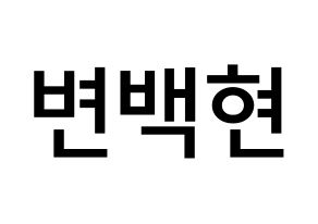 KPOP EXO(엑소、エクソ) 백현 (ビョン・ベクヒョン, ベクヒョン) 無料サイン会用、イベント会用応援ボード型紙 通常