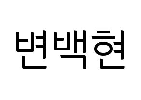 KPOP EXO(엑소、エクソ) 백현 (ベクヒョン) コンサート用　応援ボード・うちわ　韓国語/ハングル文字型紙 通常