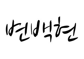 KPOP EXO(엑소、エクソ) 백현 (ベクヒョン) k-pop 応援ボード メッセージ 型紙 通常