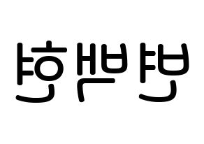 KPOP EXO(엑소、エクソ) 백현 (ビョン・ベクヒョン, ベクヒョン) 無料サイン会用、イベント会用応援ボード型紙 左右反転