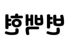 KPOP EXO(엑소、エクソ) 백현 (ベクヒョン) 応援ボード・うちわ　韓国語/ハングル文字型紙 左右反転