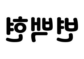 KPOP EXO(엑소、エクソ) 백현 (ベクヒョン) 応援ボード・うちわ　韓国語/ハングル文字型紙 左右反転