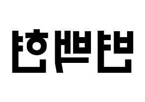 KPOP EXO(엑소、エクソ) 백현 (ベクヒョン) 名前 応援ボード 作り方 左右反転
