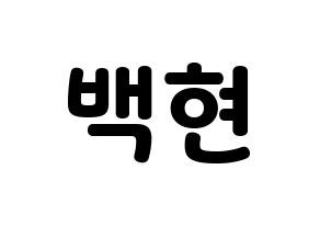 KPOP EXO(엑소、エクソ) 백현 (ベクヒョン) 応援ボード・うちわ　韓国語/ハングル文字型紙 通常