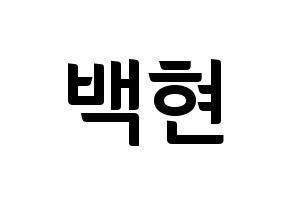 KPOP EXO(엑소、エクソ) 백현 (ベクヒョン) k-pop アイドル名前 ファンサボード 型紙 通常