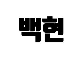 KPOP EXO(엑소、エクソ) 백현 (ベクヒョン) コンサート用　応援ボード・うちわ　韓国語/ハングル文字型紙 通常