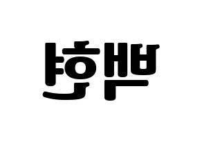 KPOP EXO(엑소、エクソ) 백현 (ベクヒョン) コンサート用　応援ボード・うちわ　韓国語/ハングル文字型紙 左右反転
