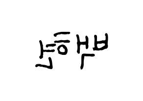 KPOP EXO(엑소、エクソ) 백현 (ベクヒョン) k-pop アイドル名前 ファンサボード 型紙 左右反転