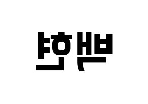KPOP EXO(엑소、エクソ) 백현 (ベクヒョン) k-pop アイドル名前 ファンサボード 型紙 左右反転