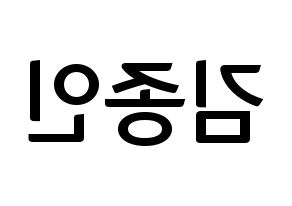 KPOP EXO(엑소、エクソ) 카이 (カイ) k-pop アイドル名前 ファンサボード 型紙 左右反転