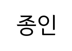 KPOP EXO(엑소、エクソ) 카이 (カイ) コンサート用　応援ボード・うちわ　韓国語/ハングル文字型紙 通常