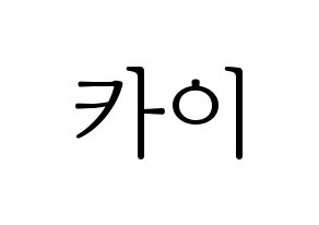 KPOP EXO(엑소、エクソ) 카이 (カイ) 応援ボード・うちわ　韓国語/ハングル文字型紙 通常