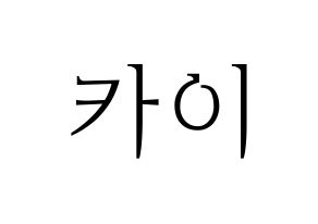 KPOP EXO(엑소、エクソ) 카이 (カイ) 応援ボード・うちわ　韓国語/ハングル文字型紙 通常