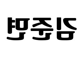 KPOP EXO(엑소、エクソ) 수호 (スホ) コンサート用　応援ボード・うちわ　韓国語/ハングル文字型紙 左右反転