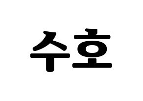 KPOP EXO(엑소、エクソ) 수호 (スホ) コンサート用　応援ボード・うちわ　韓国語/ハングル文字型紙 通常