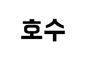 KPOP EXO(엑소、エクソ) 수호 (スホ) k-pop アイドル名前 ファンサボード 型紙 左右反転