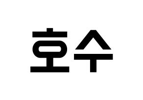 KPOP EXO(엑소、エクソ) 수호 (スホ) 名前 応援ボード 作り方 左右反転