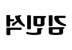 KPOP EXO(엑소、エクソ) 시우민 (シウミン) コンサート用　応援ボード・うちわ　韓国語/ハングル文字型紙 左右反転