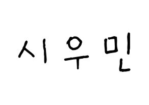 KPOP EXO(엑소、エクソ) 시우민 (シウミン) k-pop 応援ボード メッセージ 型紙 通常