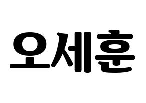 KPOP EXO(엑소、エクソ) 세훈 (セフン) コンサート用　応援ボード・うちわ　韓国語/ハングル文字型紙 通常