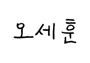 KPOP EXO(엑소、エクソ) 세훈 (セフン) k-pop アイドル名前 ファンサボード 型紙 通常