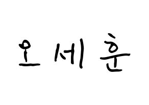 KPOP EXO(엑소、エクソ) 세훈 (オ・セフン, セフン) k-pop アイドル名前　ボード 言葉 通常
