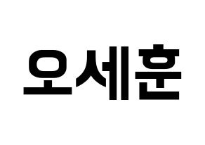 KPOP EXO(엑소、エクソ) 세훈 (セフン) k-pop アイドル名前 ファンサボード 型紙 通常