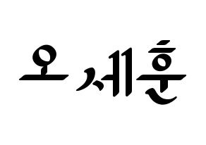 KPOP EXO(엑소、エクソ) 세훈 (セフン) 応援ボード ハングル 型紙  通常