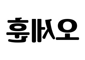 KPOP EXO(엑소、エクソ) 세훈 (セフン) コンサート用　応援ボード・うちわ　韓国語/ハングル文字型紙 左右反転