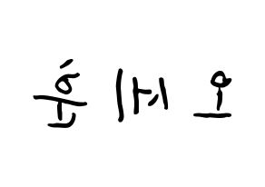KPOP EXO(엑소、エクソ) 세훈 (オ・セフン, セフン) k-pop アイドル名前　ボード 言葉 左右反転