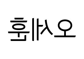 KPOP EXO(엑소、エクソ) 세훈 (セフン) コンサート用　応援ボード・うちわ　韓国語/ハングル文字型紙 左右反転