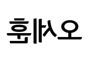 KPOP EXO(엑소、エクソ) 세훈 (セフン) k-pop アイドル名前 ファンサボード 型紙 左右反転