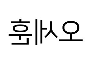 KPOP EXO(엑소、エクソ) 세훈 (セフン) プリント用応援ボード型紙、うちわ型紙　韓国語/ハングル文字型紙 左右反転
