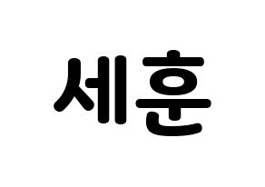 KPOP EXO(엑소、エクソ) 세훈 (セフン) 応援ボード・うちわ　韓国語/ハングル文字型紙 通常