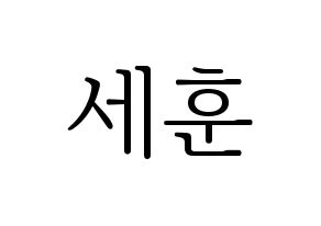 KPOP EXO(엑소、エクソ) 세훈 (セフン) 応援ボード・うちわ　韓国語/ハングル文字型紙 通常