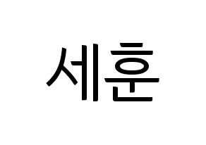 KPOP EXO(엑소、エクソ) 세훈 (セフン) コンサート用　応援ボード・うちわ　韓国語/ハングル文字型紙 通常