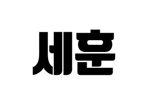 KPOP EXO(엑소、エクソ) 세훈 (セフン) コンサート用　応援ボード・うちわ　韓国語/ハングル文字型紙 通常