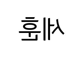 KPOP EXO(엑소、エクソ) 세훈 (セフン) コンサート用　応援ボード・うちわ　韓国語/ハングル文字型紙 左右反転