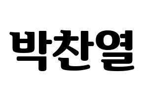 KPOP EXO(엑소、エクソ) 찬열 (チャンヨル) コンサート用　応援ボード・うちわ　韓国語/ハングル文字型紙 通常