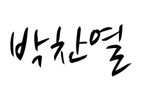 KPOP EXO(엑소、エクソ) 찬열 (チャンヨル) k-pop 応援ボード メッセージ 型紙 通常