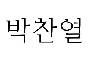 KPOP EXO(엑소、エクソ) 찬열 (チャンヨル) 応援ボード・うちわ　韓国語/ハングル文字型紙 通常