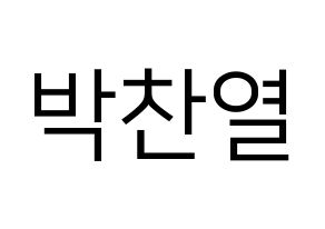 KPOP EXO(엑소、エクソ) 찬열 (チャンヨル) プリント用応援ボード型紙、うちわ型紙　韓国語/ハングル文字型紙 通常