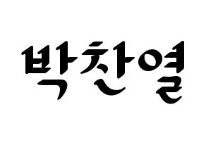 KPOP EXO(엑소、エクソ) 찬열 (チャンヨル) 応援ボード ハングル 型紙  通常