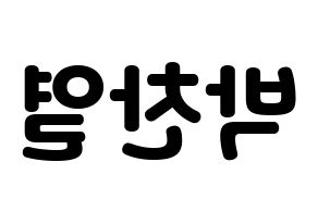 KPOP EXO(엑소、エクソ) 찬열 (チャンヨル) 応援ボード・うちわ　韓国語/ハングル文字型紙 左右反転