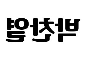 KPOP EXO(엑소、エクソ) 찬열 (チャンヨル) コンサート用　応援ボード・うちわ　韓国語/ハングル文字型紙 左右反転
