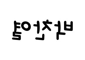 KPOP EXO(엑소、エクソ) 찬열 (チャンヨル) 名前 応援ボード 作り方 左右反転
